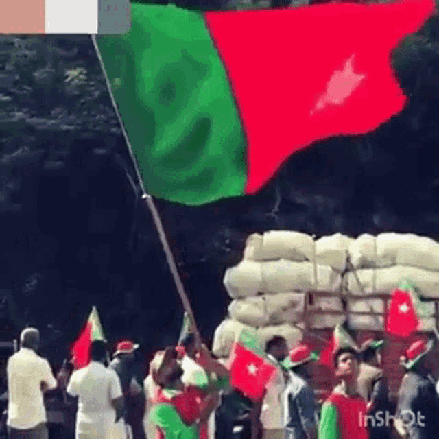 Sdpi Flag...