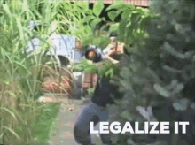 Legalizeit Drugs GIF - Legalizeit Drugs Weed GIFs
