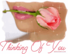 thinking of you rose sparkle glitter sticker