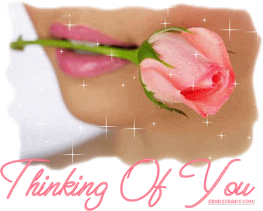 Thinking Of You Rose Sticker - Thinking Of You Rose Sparkle Stickers