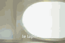 Le Lapin GIF - Le Lapin GIFs