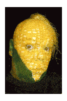 a person with their face painted like corn