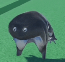 a shark with big eyes is standing on a green field .
