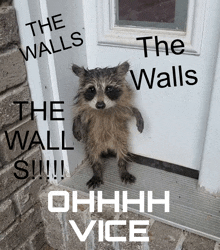 a raccoon standing in front of a door with the words " the walls the wall si !!! " written on it