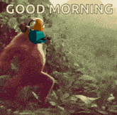 a cartoon monkey with a mask on its face and the words good morning above it