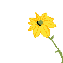 Wiggle Sunflower GIF - Wiggle Sunflower Aesthetic GIFs