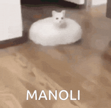 Manoli GIF - Manoli GIFs