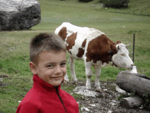 cow kid smile cute
