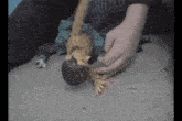 Woody Toy Story GIF - Woody Toy Story Crawling GIFs