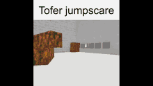 tofer jumpscare