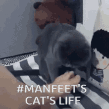 Manfeetscottfraud GIF - Manfeetscottfraud GIFs