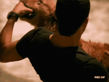 a man in a black shirt is brushing a dog 's fur