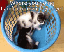 Where You Going Aint Done GIF - Where You Going Aint Done With You GIFs