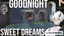 a video game screen with the words goodnight sweet dreams on it