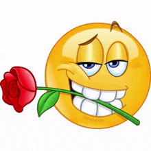 a smiley face with a red rose in its mouth .