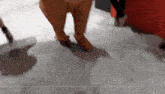 a video of a person in a dinosaur costume is being watched