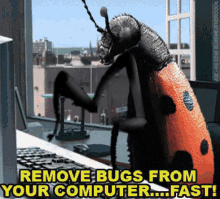 Remove Bugs GIF - Removing Bugs GIFs