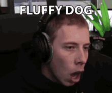 Fluffy Dog Dog GIF - Fluffy Dog Dog Fluffy GIFs