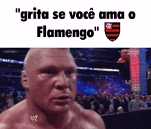 Flamengo Brasileirão GIF - Flamengo Brasileirão Fla GIFs
