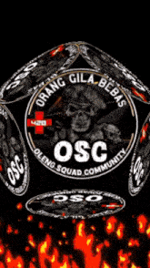 a close up of a logo for osc racing squad company