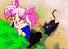 Chibiusa Cat GIF - Chibiusa Cat Sailor Moon GIFs