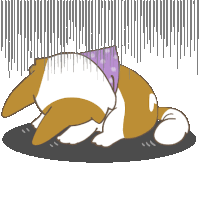 a brown and white dog wearing a purple bandana laying on the ground