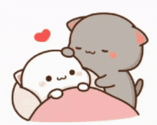Nyaa Cat GIF - Nyaa Cat Kiss And Sleep GIFs