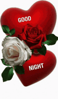 Good Night Rose GIF - Good Night Rose Flowers GIFs
