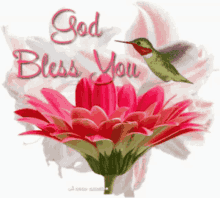Good Day God Bless You GIF - Good Day God Bless You Pink Flower GIFs