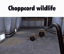Cord Choppcord GIF - Cord Choppcord Half Life GIFs
