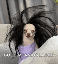 a picture of a dog with a wig and the words good morning ladies below it