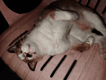 Lazycat GIF - Lazycat Cat GIFs