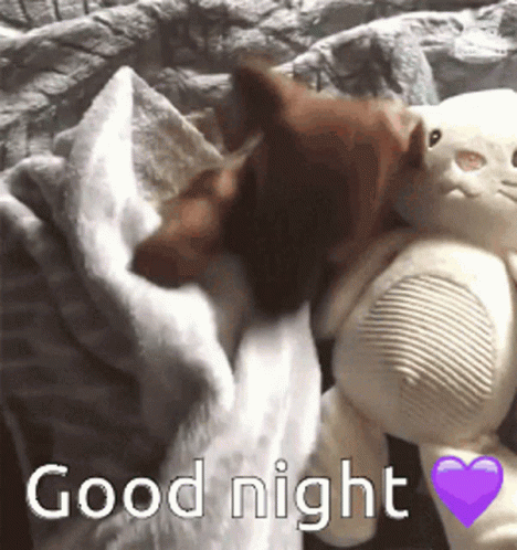 Dog Goodnight GIFs | Tenor