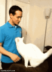 GIF