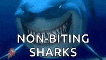 Hello Shark GIF - Hello Shark Great Big Shark GIFs