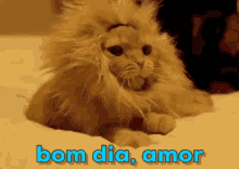 Bom Dia Meu Amor / Gatinho / Gato Acordando GIF