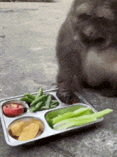 a monkey is sitting next to a tray of fruits and vegetables