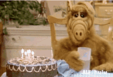 alf birthday cake water candles birthday candles