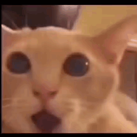 蝦密！！！