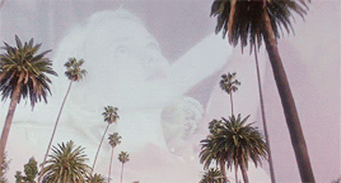 a young Naomi Watts (blonde woman with bobbed hair) in a pink sweater lays back while a palm trees move dreamily above her