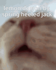 Lemon Demon Cat GIF