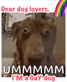 a picture of a dog with the words dear dog lovers