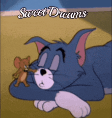 a cartoon of tom and jerry with the words sweet dreams