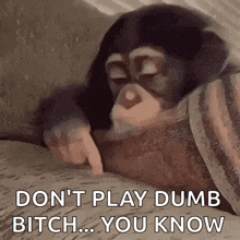 a monkey is laying on a bed and pointing at something with the words `` do n't play dumb bitch ... you know ''