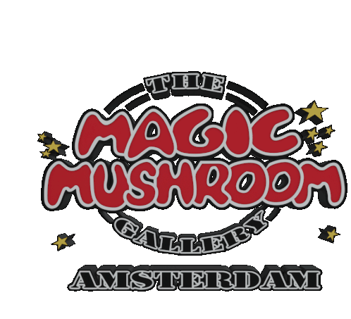 Amsterdam Amsterdamcity Sticker - Amsterdam Amsterdamcity Amsterdamtrip Stickers