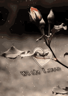 Rose With Love GIF - Rose With Love Heart GIFs