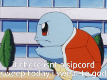 Sipcord Sweep Squirtle GIF - Sipcord Sweep Sipcord Squirtle GIFs