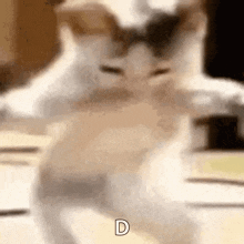 GIF