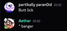 a screenshot of a conversation between partially paranoid and aether at 20:52