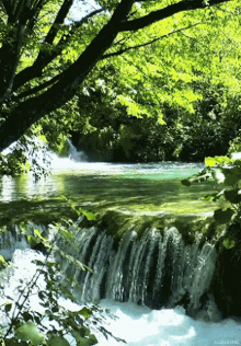 Water Green GIF - Water Green Waterfall GIFs